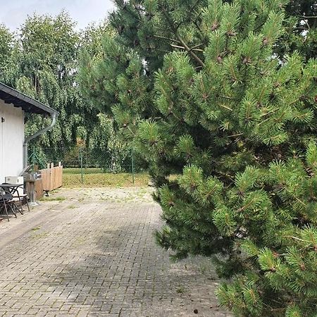 Ferienwohnung In Gristow Mesekenhagen المظهر الخارجي الصورة